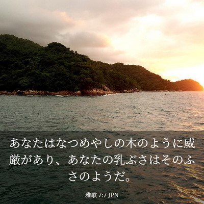 Picture 03 - 雅歌 7:7 JPN - あなたはなつめやしの木のように威 - Bible Verse Picture