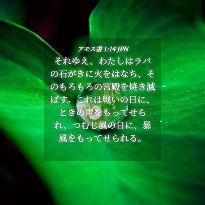 Picture 04 - アモス書 1:14 JPN - それゆえ、わたしはラバの石がきに - Bible Verse Picture