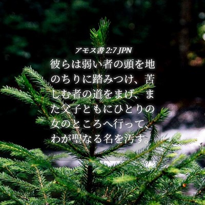 Picture 04 - アモス書 2:7 JPN - 彼らは弱い者の頭を地のちりに踏み - Bible Verse Picture