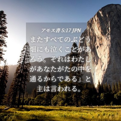 Picture 04 - アモス書 5:17 JPN - またすべてのぶどう畑にも泣くこと - Bible Verse Picture