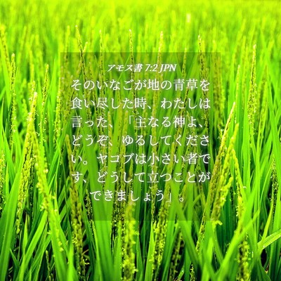 Picture 04 - アモス書 7:2 JPN - そのいなごが地の青草を食い尽した - Bible Verse Picture