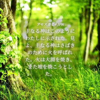 Picture 04 - アモス書 7:4 JPN - 主なる神はこのようにわたしに示さ - Bible Verse Picture