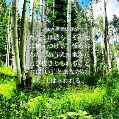 Picture 04 - アモス書 9:15 JPN - わたしは彼らをその地に植えつける - Bible Verse Picture