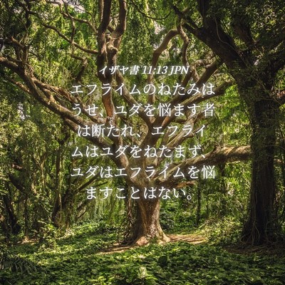 Picture 04 - イザヤ書 11:13 JPN - エフライムのねたみはうせ、ユダを - Bible Verse Picture