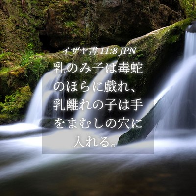 Picture 04 - イザヤ書 11:8 JPN - 乳のみ子は毒蛇のほらに戯れ、乳離 - Bible Verse Picture