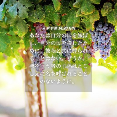 Picture 04 - イザヤ書 14:20 JPN - あなたは自分の国を滅ぼし、自分の - Bible Verse Picture