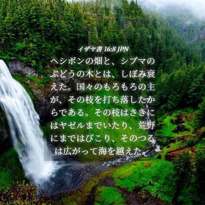 Picture 04 - イザヤ書 16:8 JPN - ヘシボンの畑と、シブマのぶどうの - Bible Verse Picture