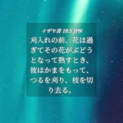 Picture 04 - イザヤ書 18:5 JPN - 刈入れの前、花は過ぎてその花がぶ - Bible Verse Picture