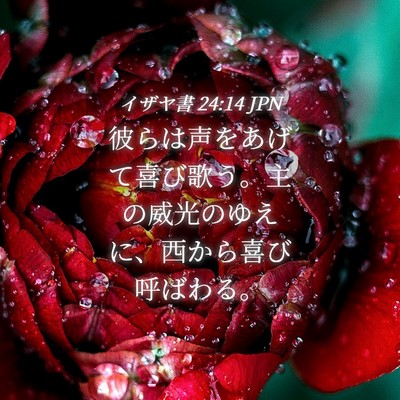 Picture 04 - イザヤ書 24:14 JPN - 彼らは声をあげて喜び歌う。主の威 - Bible Verse Picture