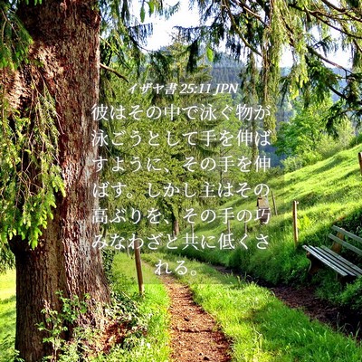 Picture 04 - イザヤ書 25:11 JPN - 彼はその中で泳ぐ物が泳ごうとして - Bible Verse Picture