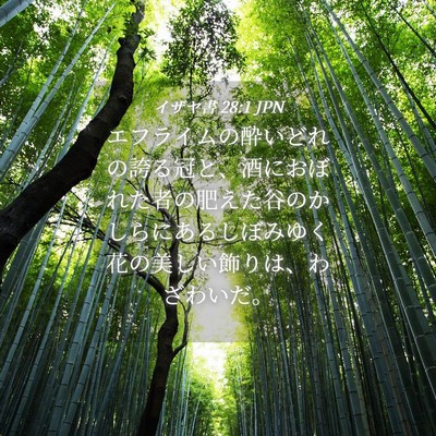 Picture 04 - イザヤ書 28:1 JPN - エフライムの酔いどれの誇る冠と、 - Bible Verse Picture