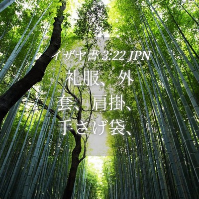 Picture 04 - イザヤ書 3:22 JPN - 礼服、外套、肩掛、手さげ袋、 - Bible Verse Picture