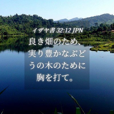 Picture 04 - イザヤ書 32:12 JPN - 良き畑のため、実り豊かなぶどうの - Bible Verse Picture