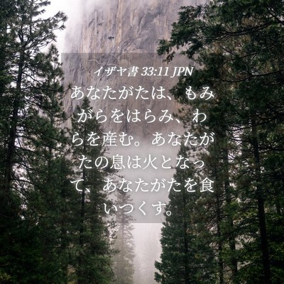 Picture 04 - イザヤ書 33:11 JPN - あなたがたは、もみがらをはらみ、 - Bible Verse Picture