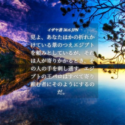 Picture 04 - イザヤ書 36:6 JPN - 見よ、あなたはかの折れかけている - Bible Verse Picture