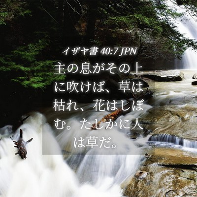 Picture 04 - イザヤ書 40:7 JPN - 主の息がその上に吹けば、草は枯れ - Bible Verse Picture