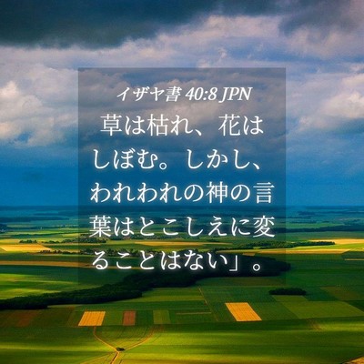 Picture 04 - イザヤ書 40:8 JPN - 草は枯れ、花はしぼむ。しかし、わ - Bible Verse Picture