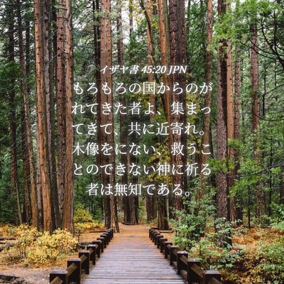 Picture 04 - イザヤ書 45:20 JPN - もろもろの国からのがれてきた者よ - Bible Verse Picture