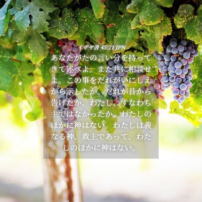 Picture 04 - イザヤ書 45:21 JPN - あなたがたの言い分を持ってきて述 - Bible Verse Picture