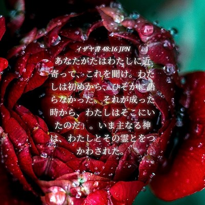 Picture 04 - イザヤ書 48:16 JPN - あなたがたはわたしに近寄って、こ - Bible Verse Picture