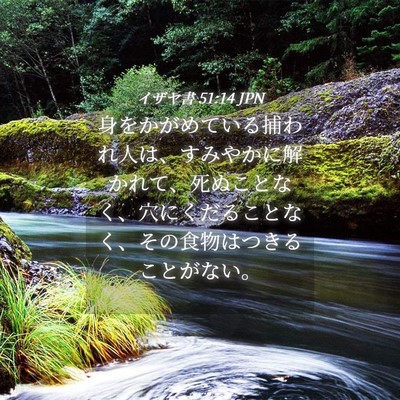 Picture 04 - イザヤ書 51:14 JPN - 身をかがめている捕われ人は、すみ - Bible Verse Picture