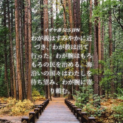 Picture 04 - イザヤ書 51:5 JPN - わが義はすみやかに近づき、わが救 - Bible Verse Picture