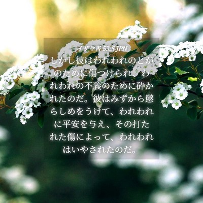 Picture 04 - イザヤ書 53:5 JPN - しかし彼はわれわれのとがのために - Bible Verse Picture