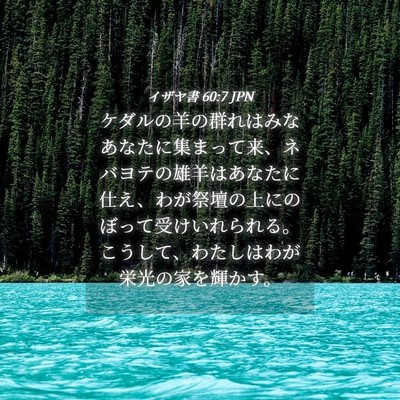 Picture 04 - イザヤ書 60:7 JPN - ケダルの羊の群れはみなあなたに集 - Bible Verse Picture