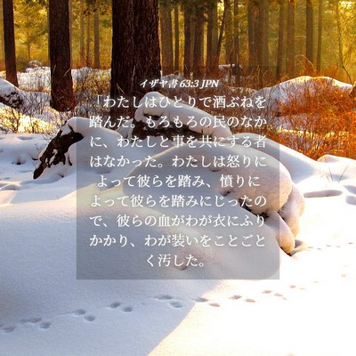 Picture 04 - イザヤ書 63:3 JPN - 「わたしはひとりで酒ぶねを踏んだ - Bible Verse Picture