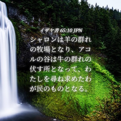 Picture 04 - イザヤ書 65:10 JPN - シャロンは羊の群れの牧場となり、 - Bible Verse Picture