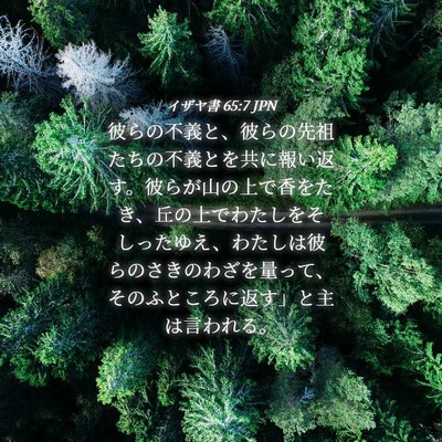 Picture 04 - イザヤ書 65:7 JPN - 彼らの不義と、彼らの先祖たちの不 - Bible Verse Picture