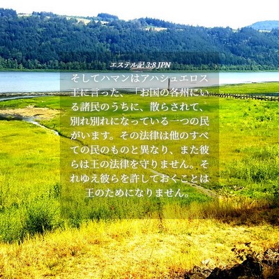 Picture 04 - エステル記 3:8 JPN - そしてハマンはアハシュエロス王に - Bible Verse Picture