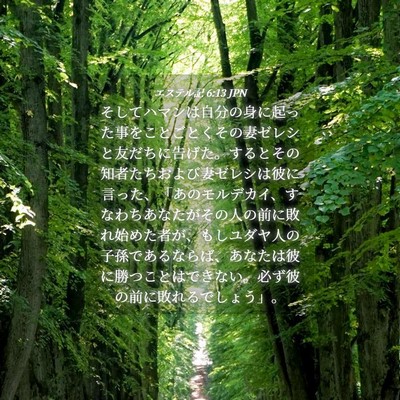 Picture 04 - エステル記 6:13 JPN - そしてハマンは自分の身に起った事 - Bible Verse Picture