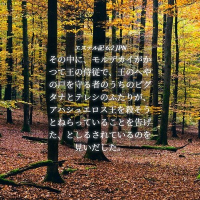 Picture 04 - エステル記 6:2 JPN - その中に、モルデカイがかつて王の - Bible Verse Picture