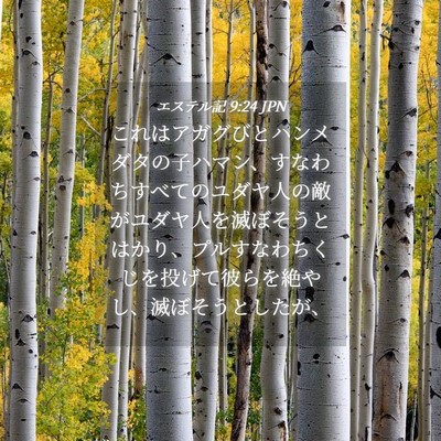 Picture 04 - エステル記 9:24 JPN - これはアガグびとハンメダタの子ハ - Bible Verse Picture