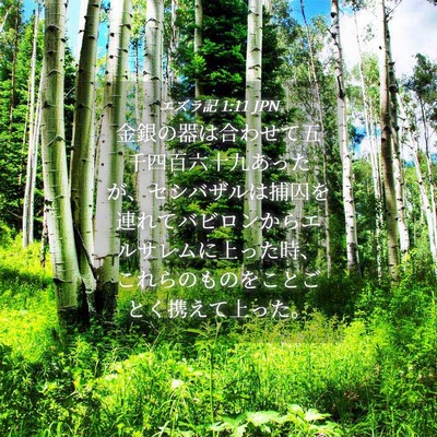 Picture 04 - エズラ記 1:11 JPN - 金銀の器は合わせて五千四百六十九 - Bible Verse Picture