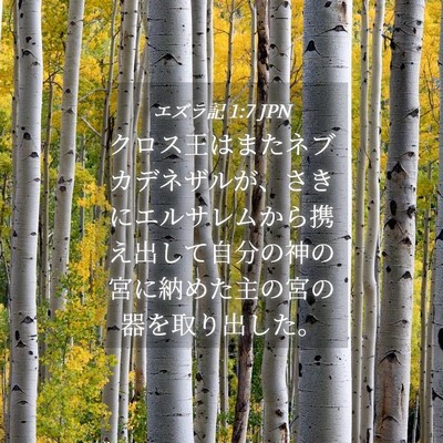 Picture 04 - エズラ記 1:7 JPN - クロス王はまたネブカデネザルが、 - Bible Verse Picture