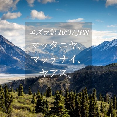 Picture 04 - エズラ記 10:37 JPN - マッタニヤ、マッテナイ、ヤアス。 - Bible Verse Picture