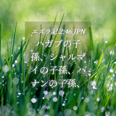 Picture 04 - エズラ記 2:46 JPN - ハガブの子孫、シャルマイの子孫、 - Bible Verse Picture