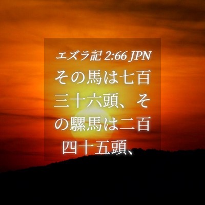 Picture 04 - エズラ記 2:66 JPN - その馬は七百三十六頭、その騾馬は - Bible Verse Picture
