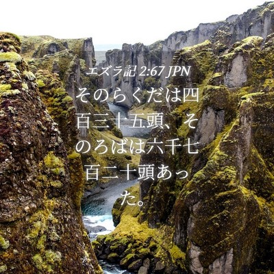 Picture 04 - エズラ記 2:67 JPN - そのらくだは四百三十五頭、そのろ - Bible Verse Picture