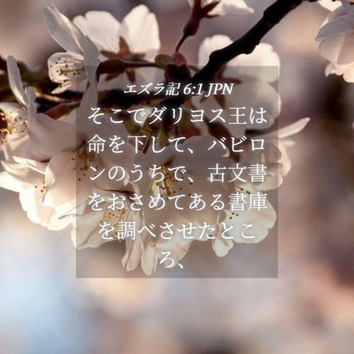 Picture 04 - エズラ記 6:1 JPN - そこでダリヨス王は命を下して、バ - Bible Verse Picture