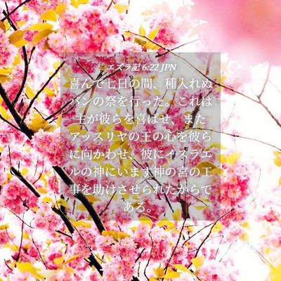 Picture 04 - エズラ記 6:22 JPN - 喜んで七日の間、種入れぬパンの祭 - Bible Verse Picture
