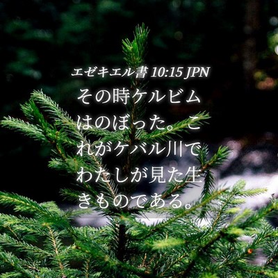 Picture 04 - エゼキエル書 10:15 JPN - その時ケルビムはのぼった。これが - Bible Verse Picture