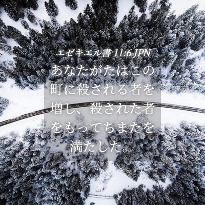 Picture 04 - エゼキエル書 11:6 JPN - あなたがたはこの町に殺される者を - Bible Verse Picture