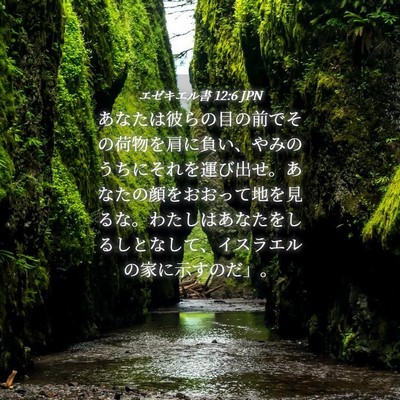 Picture 04 - エゼキエル書 12:6 JPN - あなたは彼らの目の前でその荷物を - Bible Verse Picture