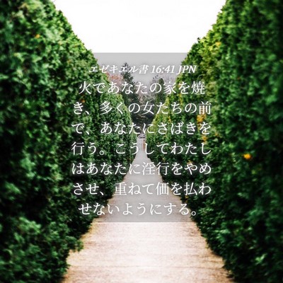 Picture 04 - エゼキエル書 16:41 JPN - 火であなたの家を焼き、多くの女た - Bible Verse Picture