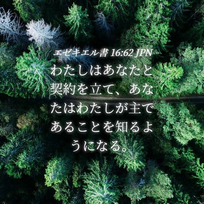 Picture 04 - エゼキエル書 16:62 JPN - わたしはあなたと契約を立て、あな - Bible Verse Picture