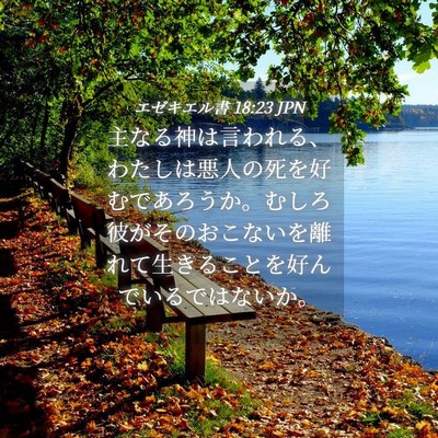 Picture 04 - エゼキエル書 18:23 JPN - 主なる神は言われる、わたしは悪人 - Bible Verse Picture