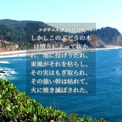 Picture 04 - エゼキエル書 19:12 JPN - しかしこのぶどうの木は憤りによっ - Bible Verse Picture